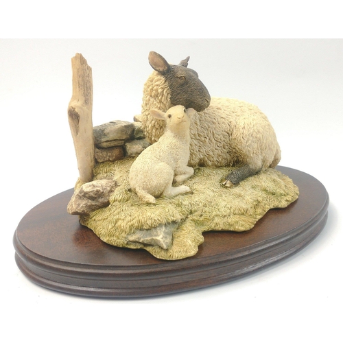 213 - A Sheraton Simpson lovely model of a mother black-face sheep with lamb signed Simpson, dated 1993. R... 