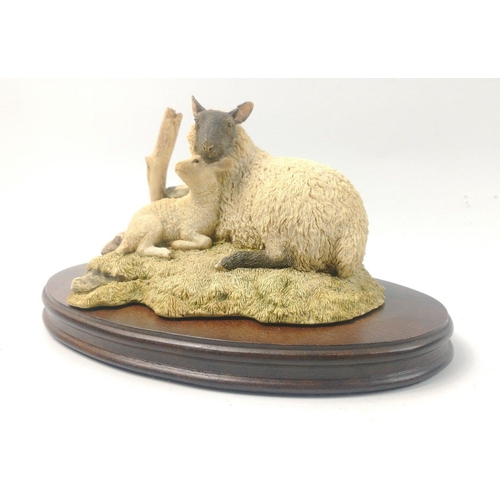 213 - A Sheraton Simpson lovely model of a mother black-face sheep with lamb signed Simpson, dated 1993. R... 