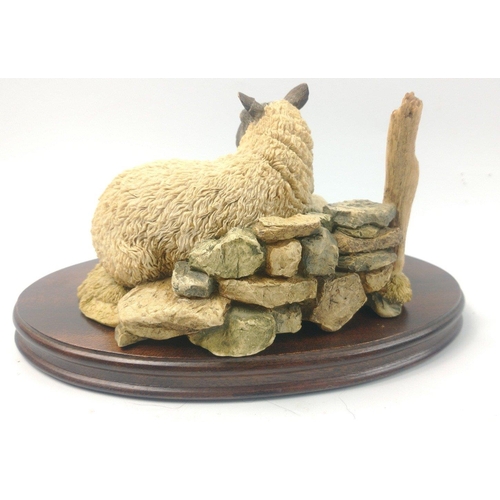 213 - A Sheraton Simpson lovely model of a mother black-face sheep with lamb signed Simpson, dated 1993. R... 