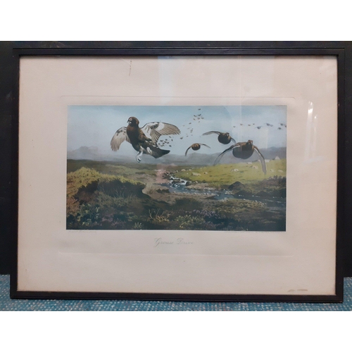 335 - An attractive framed print entitled 'Grouse Drive' by ARCHIBALD THORBURN, frame size 57x43cm#338