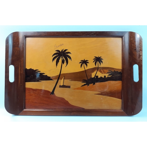 559 - A South American style wooden tray 53x33cm approx#562