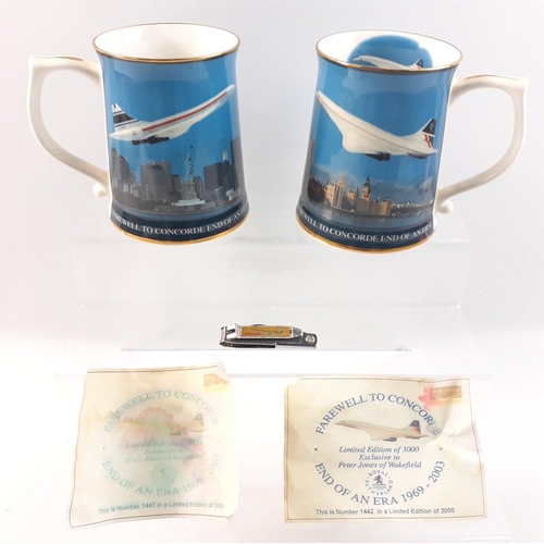 213 - COLLECTIBLE - Two superb large limited edition FAREWELL TO CONCORDE tankards with certificates and C... 