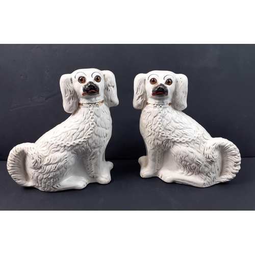 225 - A super pair of mid-Victorian Staffordshire King Charles spaniels with glass eyes and painted mouths... 