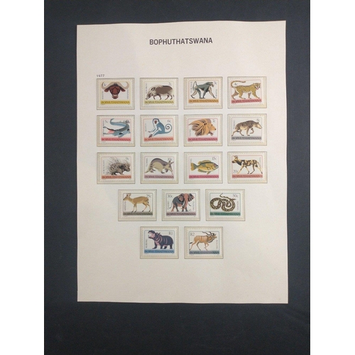 335 - A selection of AFRICAN HOMELANDS postage stamps in album page protective mounts.  Includes BOPHATATS... 