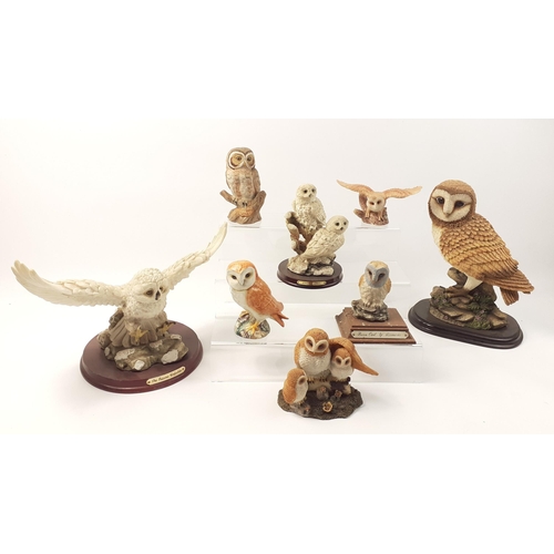 369 - A school of owls to include a large 26cm LEONARDO, a JULIANA collection snowy owl, a BESWICK tawny (... 