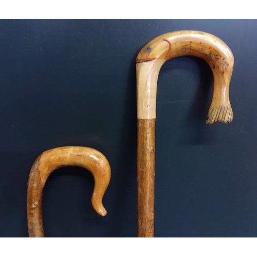 496 - 2 hand carved Shepherds Crooks from a farm in the Scottish Borders.  One with the handle in the shap... 