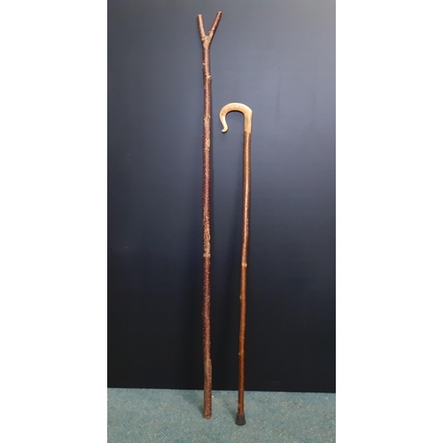 498 - Two handmade walking sticks - 1 with a forked top and 1 wih a horned handle.  The longest 130cm.#497... 