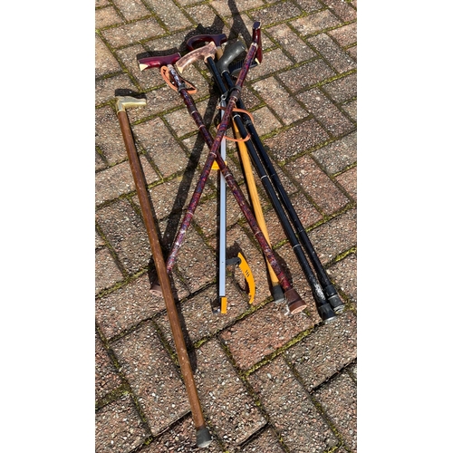 499 - A collection of 8 interesting walking sticks to include a quality brass dog handled one - IDEAL FOR ... 