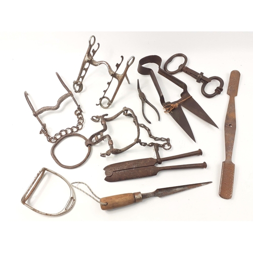 507 - A useful little lot of horse related tools to include bits, rasp, hoof tool and shears etc#506