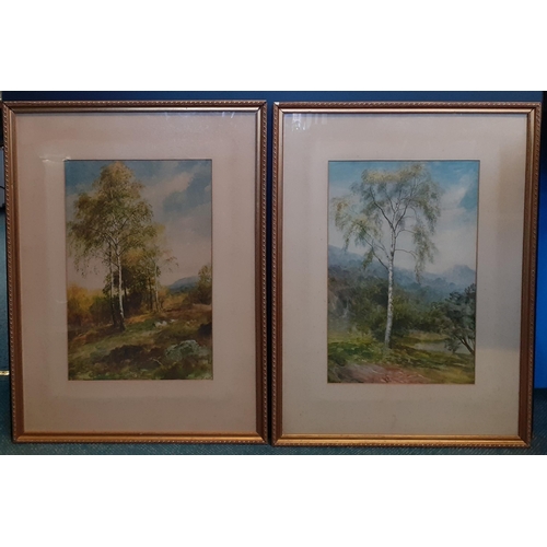 333 - Two antique prints by MacWHIRTER.  Beautiful items in gilt frames 78x58cm approx.  Generally good co... 