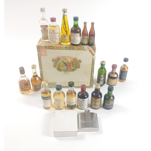 117 - A Churchill cigar box with contents of miniatures to include The Royal Mile, Black Bottle, Glenfiddi... 