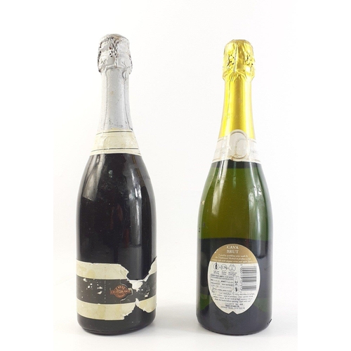 250 - Two bottles of sparkling wine being a Castellblanch and a bottle of Cava#270