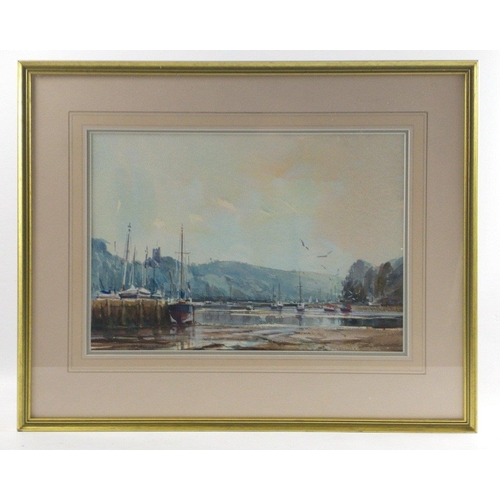 304 - A RAY BALKWILL watercolour 'Evening Light' Noss Mao much accredited artist from the West Country 37c... 