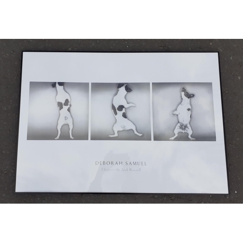 358 - A large DEBORAH SAMUEL print of 3 scenes of Chrissie the Jack Russell 100x70cm approx#379