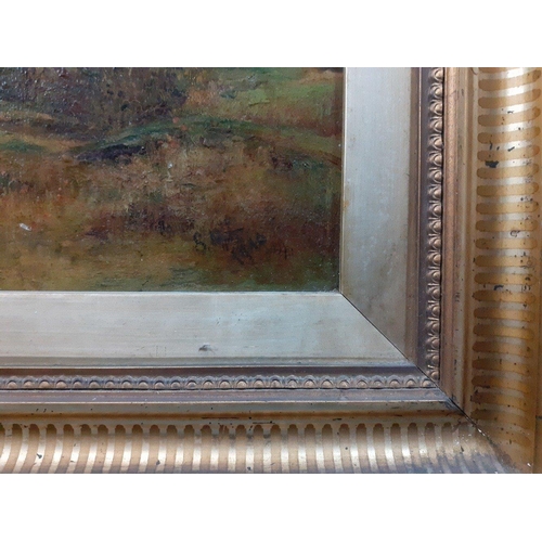 366 - Two original EDWARDIAN gilt framed oil on canvas paintings of country scenes, one and idyllic countr... 