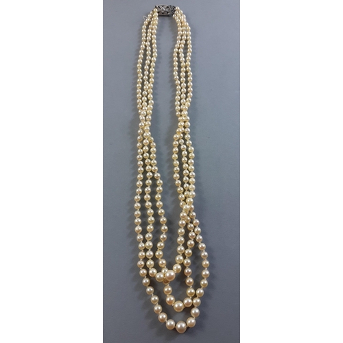 45 - A triple strand of pearls with a 375 stamped clasp#45