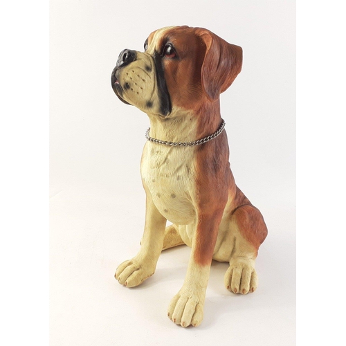 148 - A large resin boxer dog figure, stands 33cm tall approx.  No damage#42