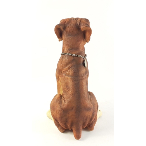 148 - A large resin boxer dog figure, stands 33cm tall approx.  No damage#42