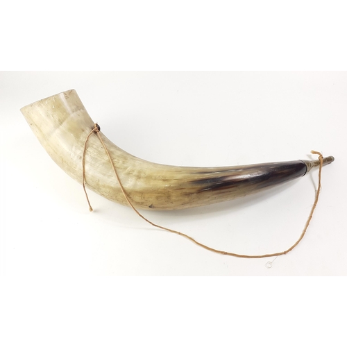 371 - VIKINGS SPRING TO MIND!  An IMPRESSIVE wall hanging Cow Horn.  Does make a sound with a large puff. ... 