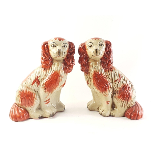 526 - A pair of nice quality Staffordshire Wally dogs in the more unusual red colour, standing 31cm tall a... 