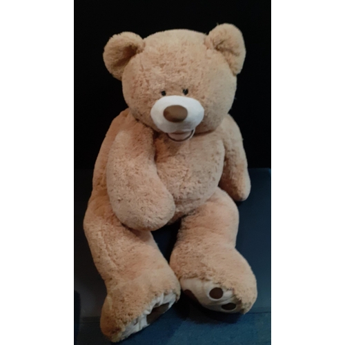 229 - A super large 1.4m tall teddy bear. Ready to offer snuggly warmth in the dark winter months.#229