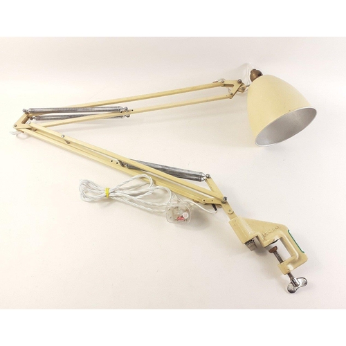 173 - A HERBERT TERRY anglepoise lamp in cream with desk-clamp bracket.  Rewired and PAT tested in 2023.#1... 