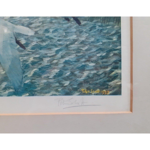 479 - A signed limited edition PETER SCOTT print of North Wind, Berwick Swans, frame size 75 x 65cm approx... 