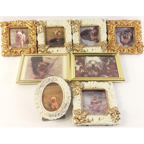 483 - A small collection of nine pictures of dogs.  Elaborate frames approx 12x12cm#487