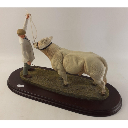 132 - A model boxed Country Artists countryside figure of a Charolais Bull - 'The Best in Show' - in mint ... 