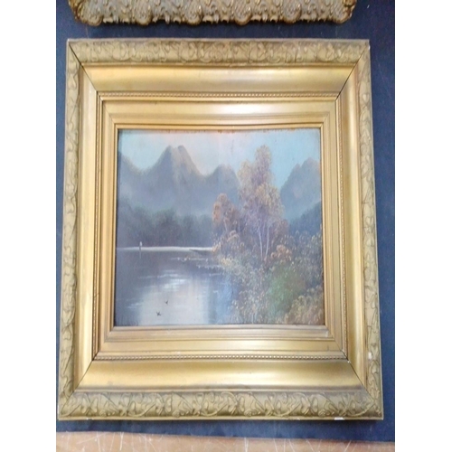 328 - Two Highland scenes - one oil on canvas and one oil on board.  Largest frame size 59cm x 39cm approx... 