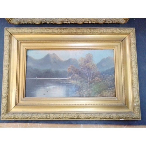 328 - Two Highland scenes - one oil on canvas and one oil on board.  Largest frame size 59cm x 39cm approx... 