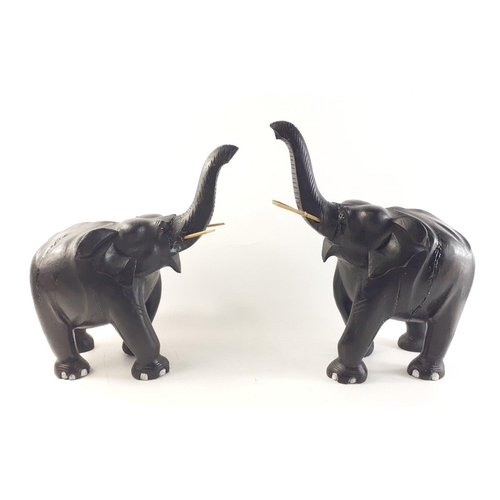 336 - A pair of Victorian solid mahogany fully ebonised African hand-made elephants.  Original ivory tusks... 