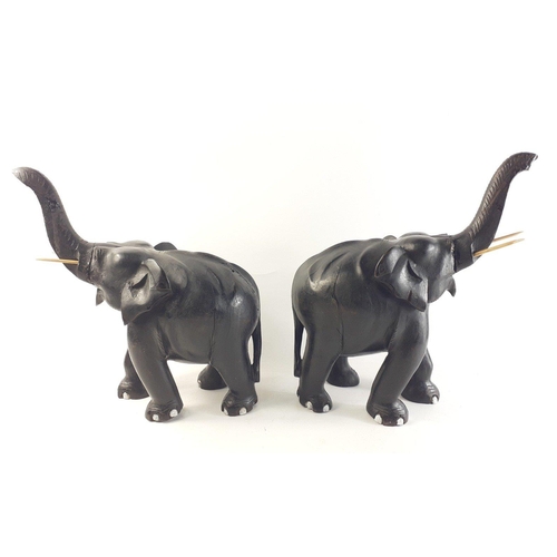 336 - A pair of Victorian solid mahogany fully ebonised African hand-made elephants.  Original ivory tusks... 