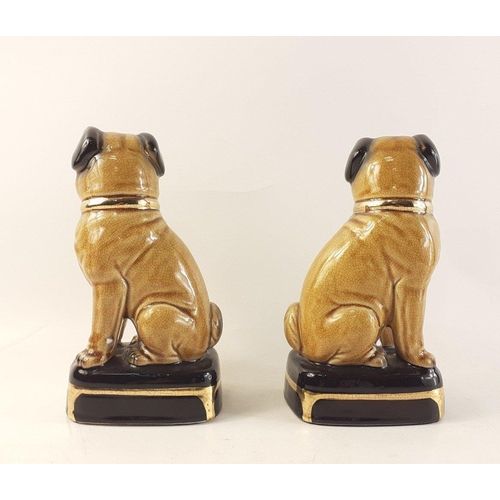 338 - An update on 19th century Wally dugs - meet the 21st century pugs.  One pair standing approx 20cm ta... 