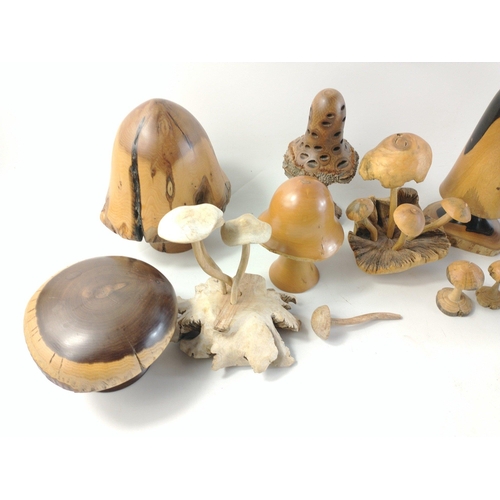 420 - Super lot of fourteen treen mushrooms.  Lovely quirky and very tactile lot.  The largest standing 18... 