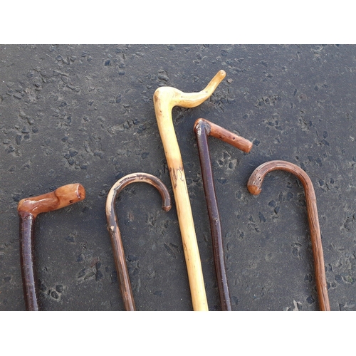 498 - Handy lot of five walking sticks. Nice selection in good condition.#498