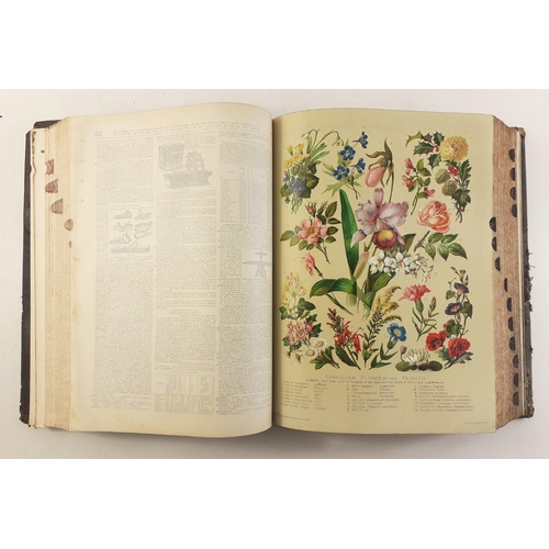 THE NEW STANDARD DICTIONARY OF THE ENGLISH LANGUAGE, 1914, with a ...