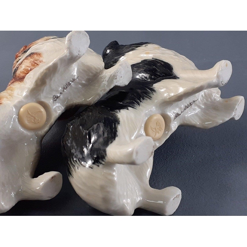 287 - VINTAGE BLUE WITCH made Rough Collie salt and pepper set - dimensions 10cm length x 7cm height appro... 