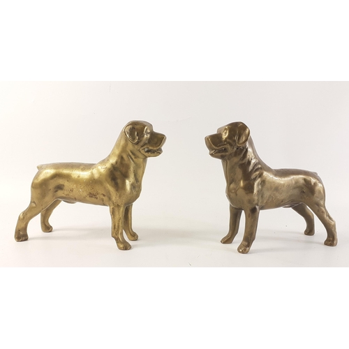 Lot 293       