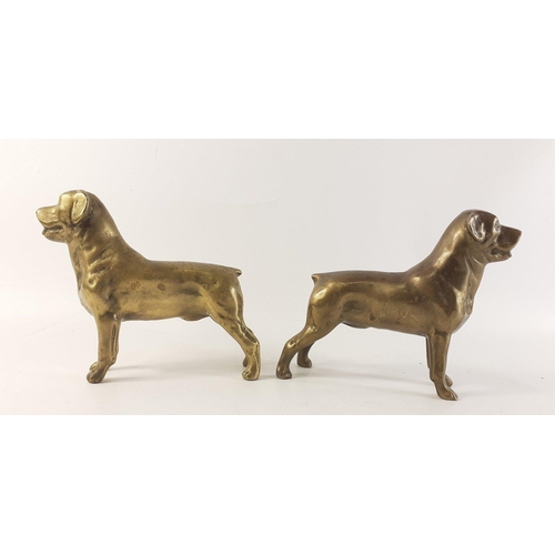 293 - SUBSTANTIAL - A pair of VINTAGE SOLID BRASS Rottweiler dog figurines - combined weight over 5.620kg ... 