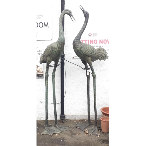 171 - WOW MAGNIFICENT! - WHAT A TALKING POINT! - A pair of GIANT bronzed garden cranes - height (taller by... 