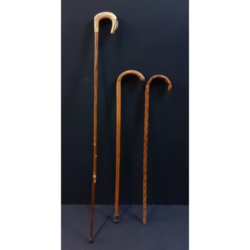 Three Walking Sticks, includes one Shepherd’s Crook with a super wee ...