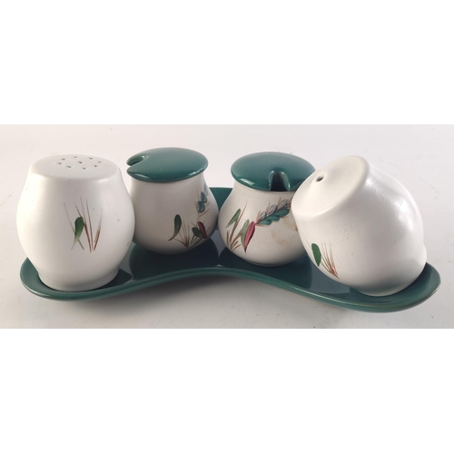 347 - DENBY Condiment pots on a tray with similar salt and pepper.#113