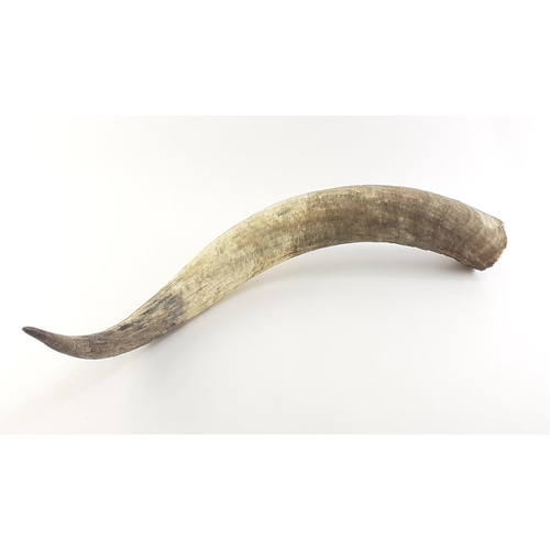 Lot 317       