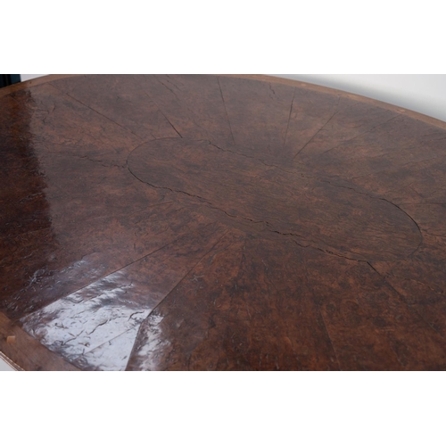 132 - EARLY NINETEENTH CENTURY FIGURED AND BURR WALNUT BREAKFAST TABLE, the moulded oval tilt-top with dia... 