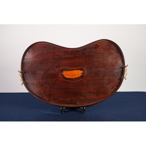 68 - EDWARDIAN INLAID MAHOGANY KIDNEY SHAPED TWO HANDLED TRAY, with raised border, brass end handles and ... 