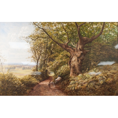 261 - BONAMI EDWARD WARREN (fl. 1860-1872)
WATERCOLOUR 
'A Surrey Woodland'
Signed and dated 1870 lower le... 