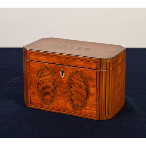 57 - A GOOD GEORGE III SATINWOOD, CROSSBANDED AND SHELL ELLIPSE INLAID CANTED-OBLONG TEA CADDY, the inter... 