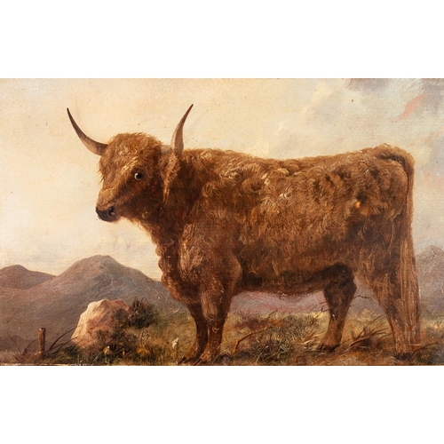 181 - BRITISH SCHOOL (19th CENTURY)
OIL PAINTING ON MILL-BOARD
A highland bull in upland landscape
10 3/4