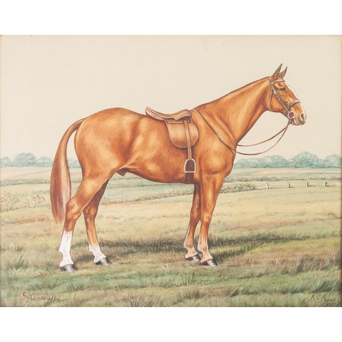 274 - KATHERINE C. BROWN 
WATERCOLOURS, A PAIR 
Horse portraits, names respectively 
'Silver' and 'Sandy' ... 